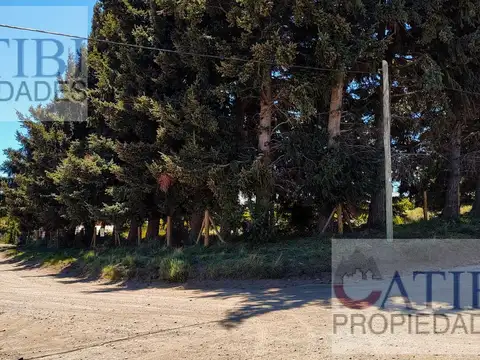 Lotes en ph en venta. los pinguinos y las gaviotas. dina huapi