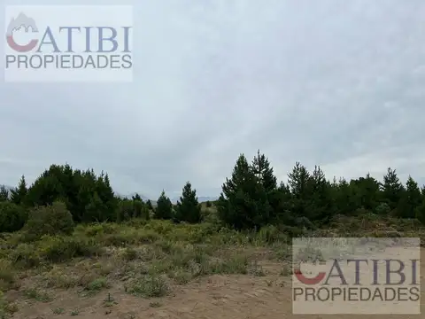 Terreno en venta en calle esandi