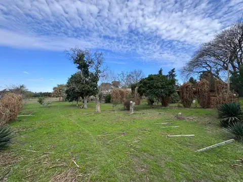 Lote en venta en victoria, entre rios