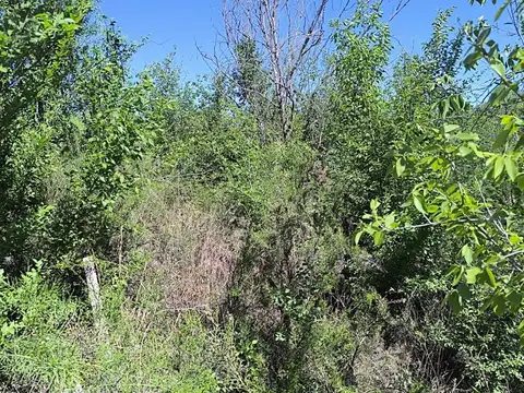 Venta lote parque psiquiman 914 m2