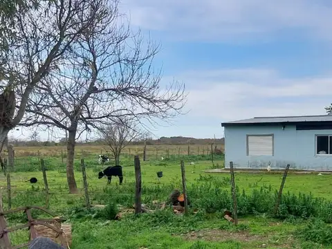 Venta  campo 20 has - luján