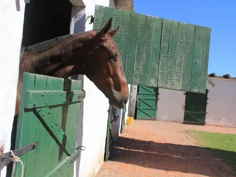 Venta  campo 9has posada y haras - san miguel del monte