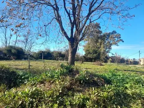 Terreno en venta en pergamino zuviria y beltran