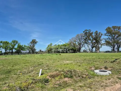 Terreno lote  en venta en general rodríguez, g.b.a. zona oeste, argentina
