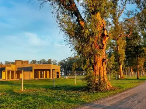 Venta lote en general rodríguez
