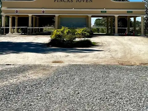 Venta terreno fincas joven