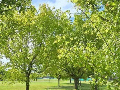 Terreno venta en mirabosques cardales km 185 de la ruta 6