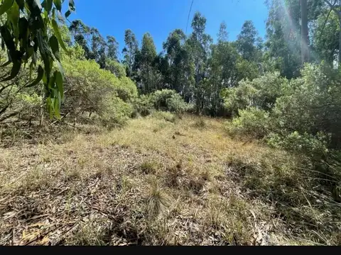 Venta de dos lotes en estación chapadmalal