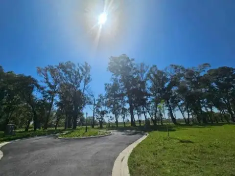 Venta de terreno en barrio santa sofia pilar del este exclente relacion precio ubicacion