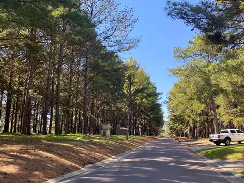 Terreno en venta en los pinares country club. superficie de 1400 m2. exaltación de la cruz.