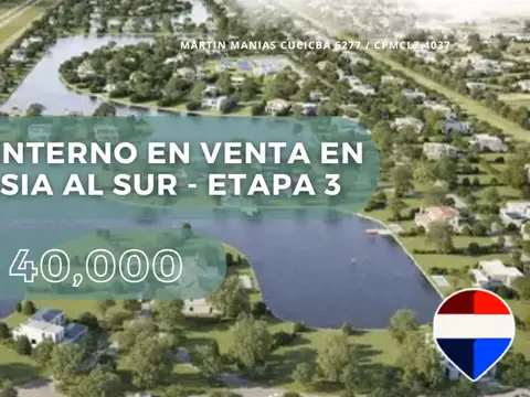 Lote interno en venta en damasia al sur