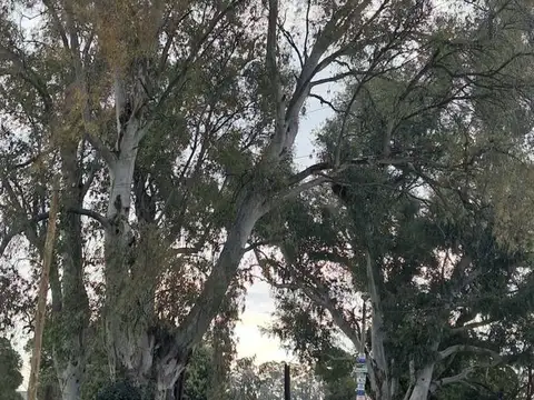 Terreno 40 x 71 en cañuelas, barrio abierto las chacritas, sin expensas