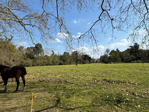 Terrenos en estancia villa maria