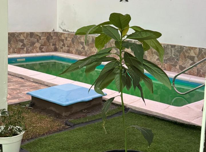 Casa · 100m² · 3 Dormitorios · 1 Cochera