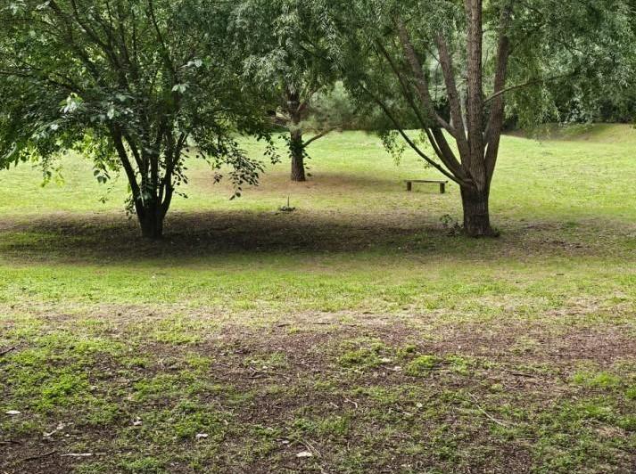 Terreno · 1000m²