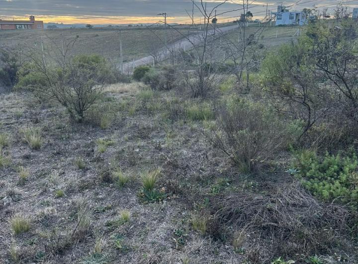 Terreno · 1201m²