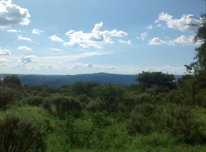 Terreno · 5000m²