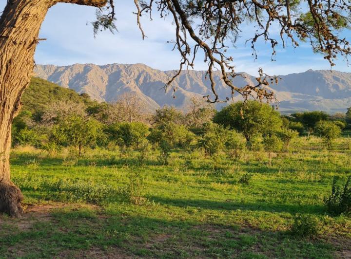 Terreno · 50000m²