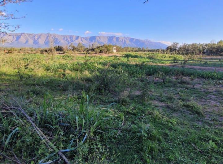 Terreno · 6000m²