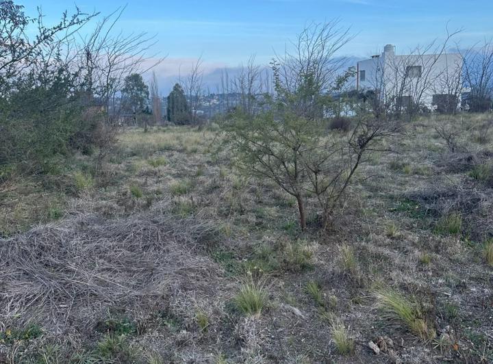 Terreno · 1202m²