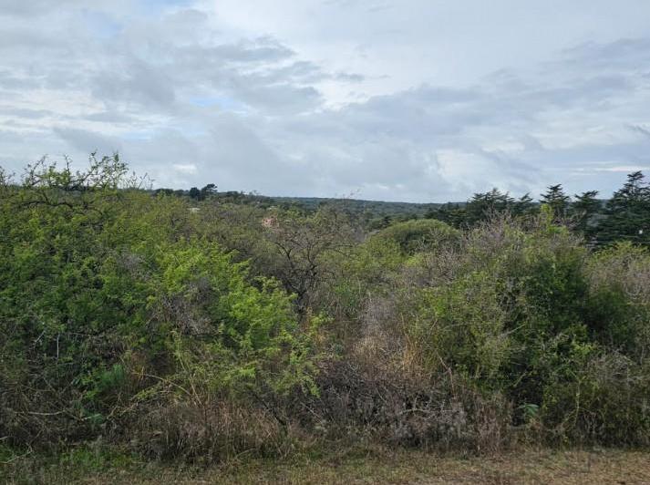 Terreno · 4645m²