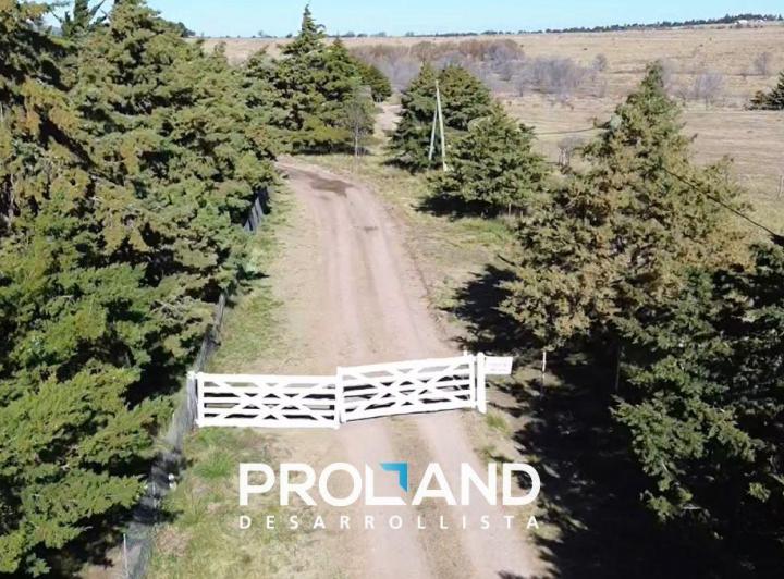 Terreno · 1000m²