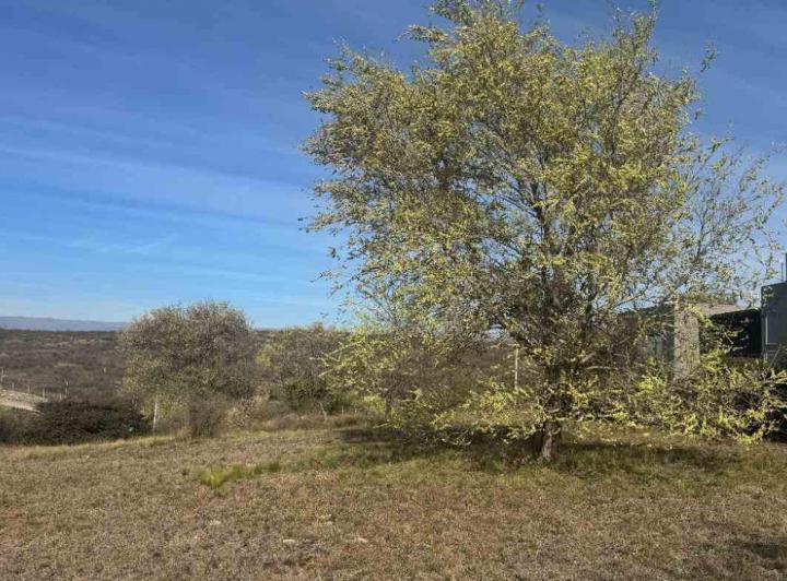 Terreno · 1202m²