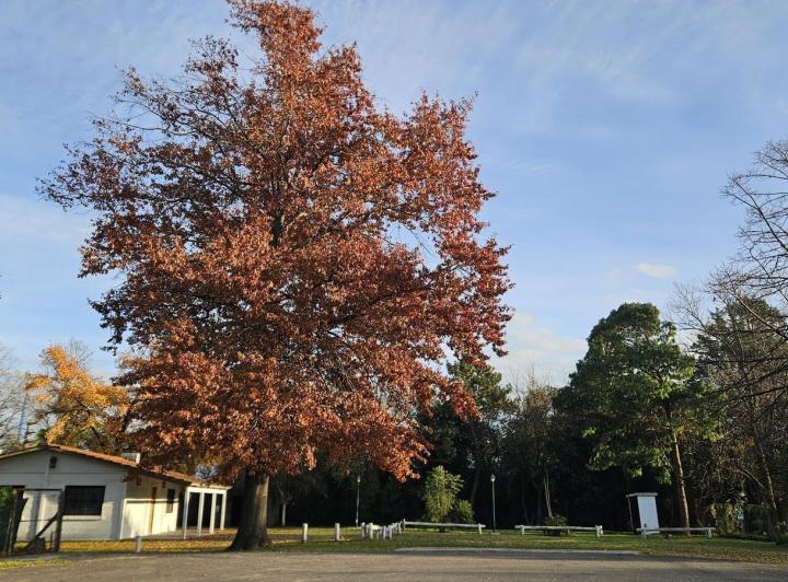 Terreno · 324m²