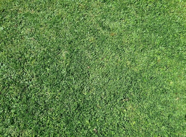 Terreno · 2m²