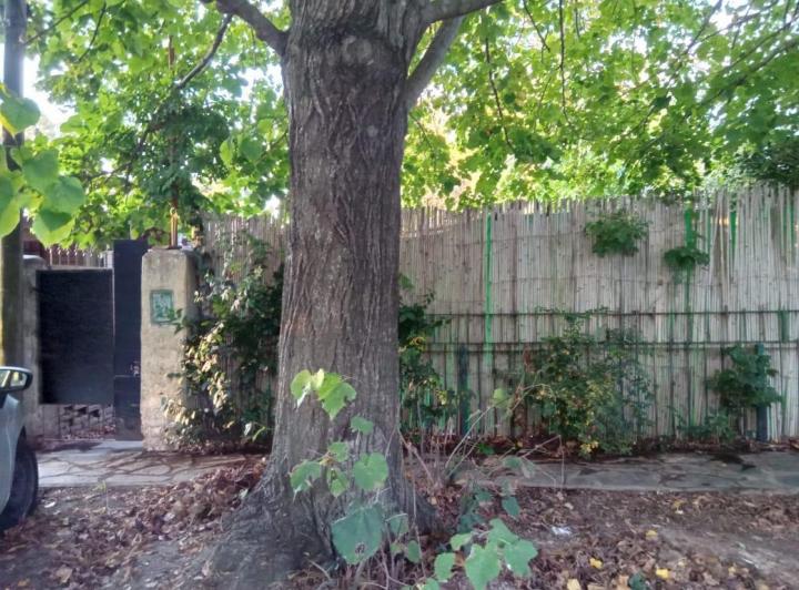 Terreno · 50m²