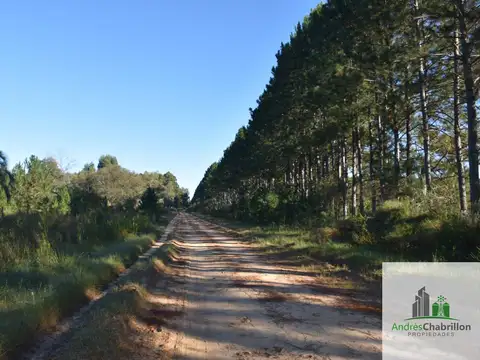 Campo en Venta en Puerto Yerua, Concordia