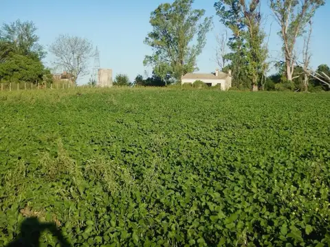 Campo en Venta en Parana, Paraná