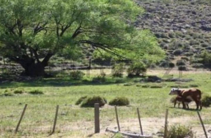 Terreno · 300m²