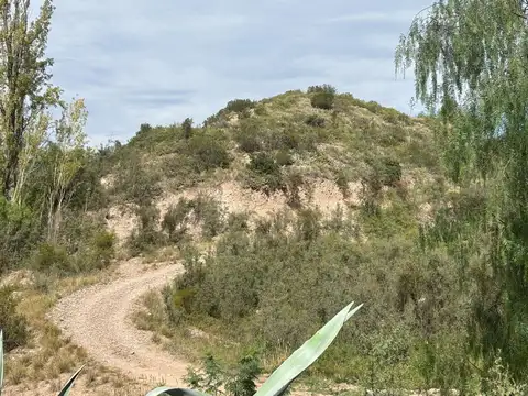 Terreno en Venta en Lujan De Cuyo, Lujan de Cuyo