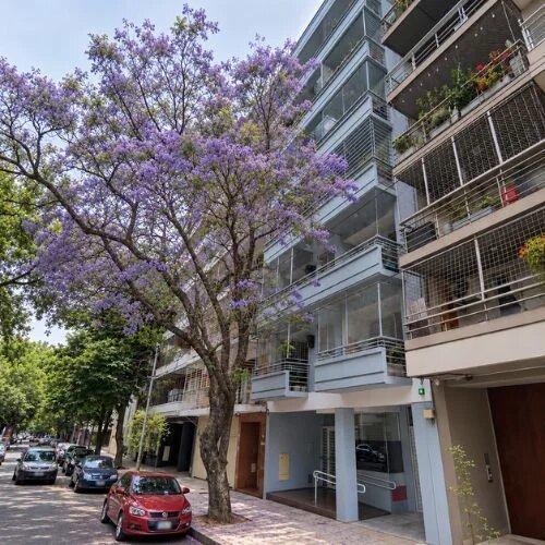 Departamento · 63m² · 3 Ambientes · 1 Cochera
