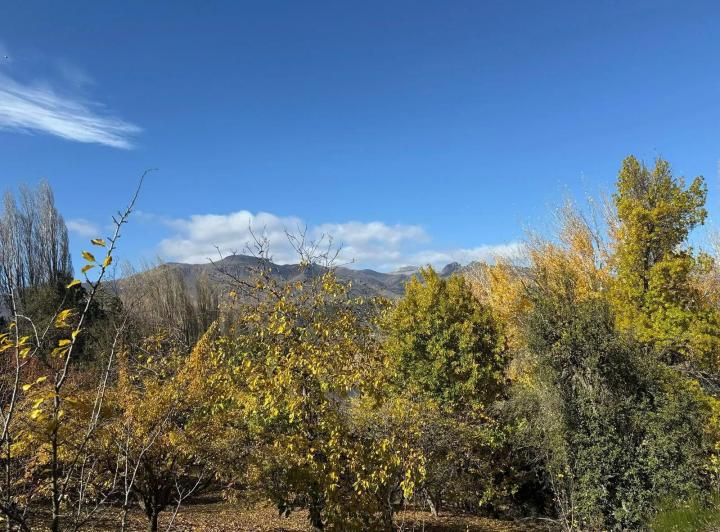 Terreno · 11014m²