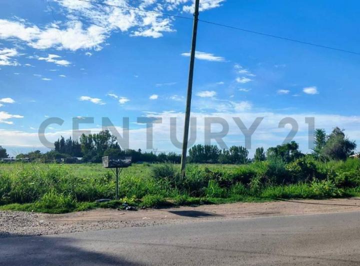 Terreno · 100m² · 3 Ambientes