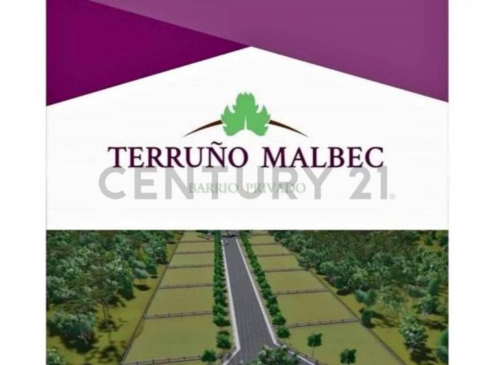 Terreno · 317m²