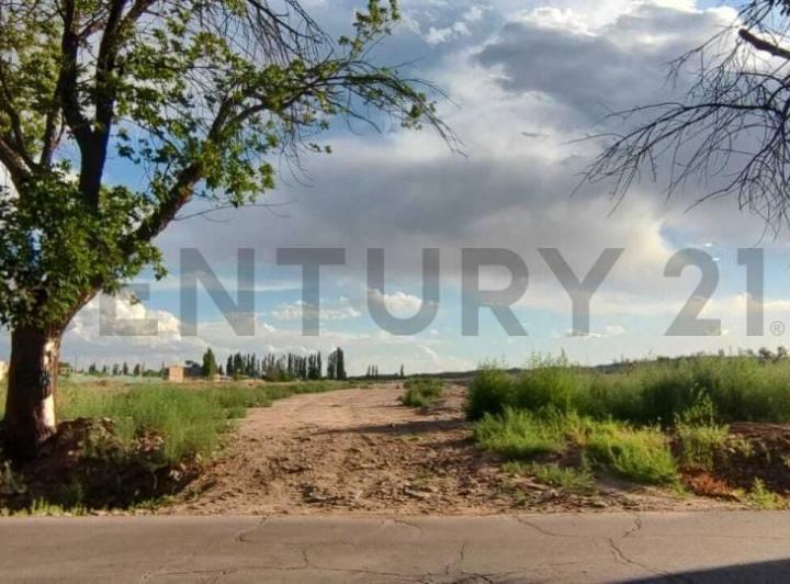 Terreno · 300m²