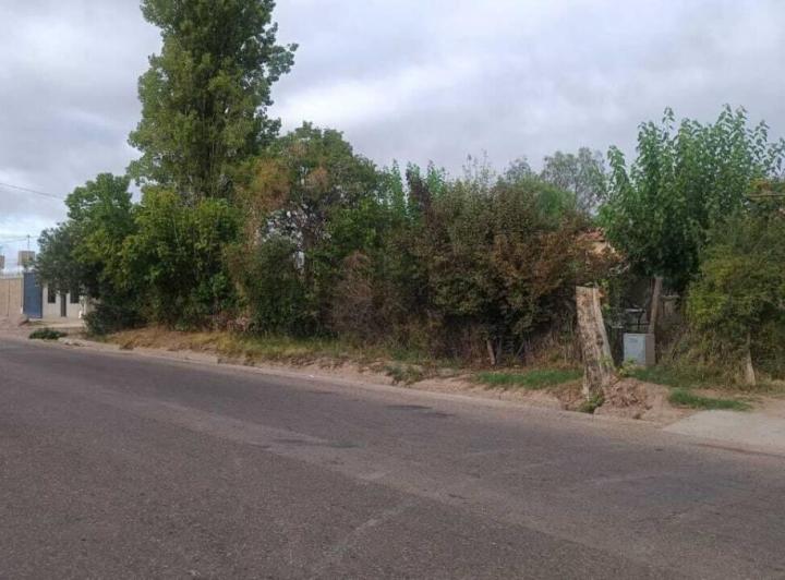 Terreno · 5000m²