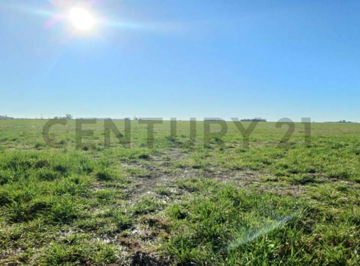 Terreno · 1779m²