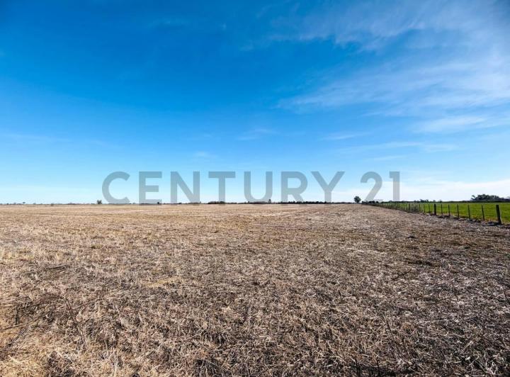 Terreno · 34m²
