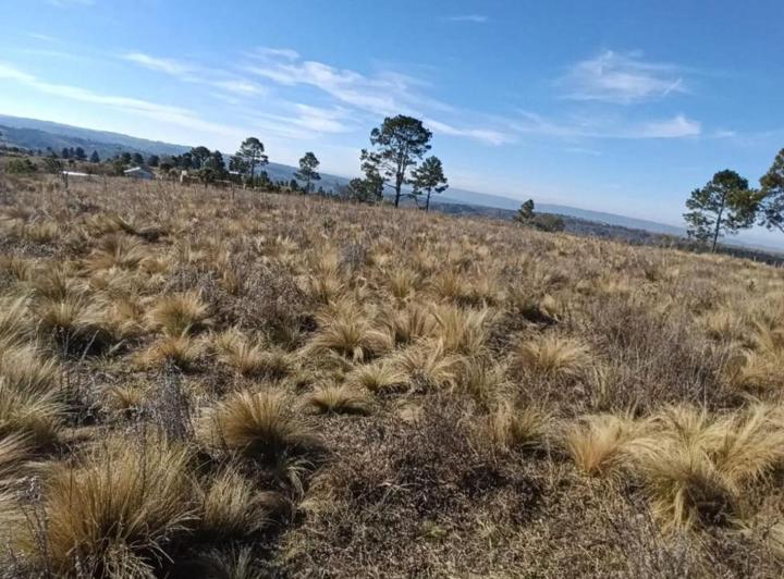 Terreno · 471m²