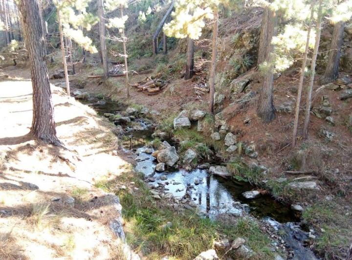 Terreno · 30839m²