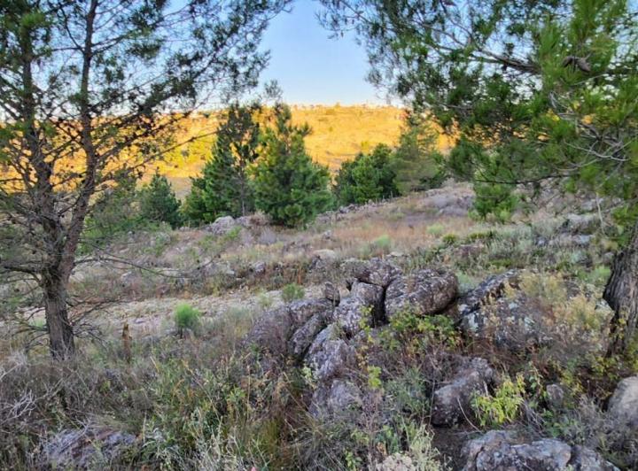 Terreno · 900m²