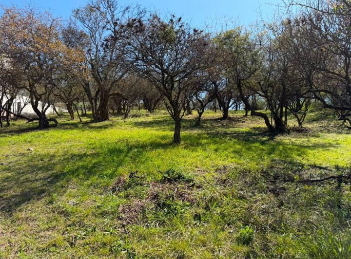 Terreno · 1328m²