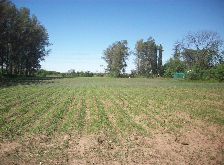 Terreno · 23600m²