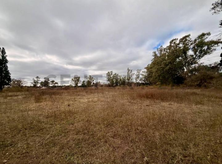 Terreno · 20000m²