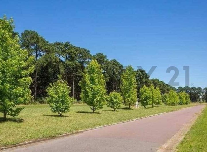 Terreno · 1500m²