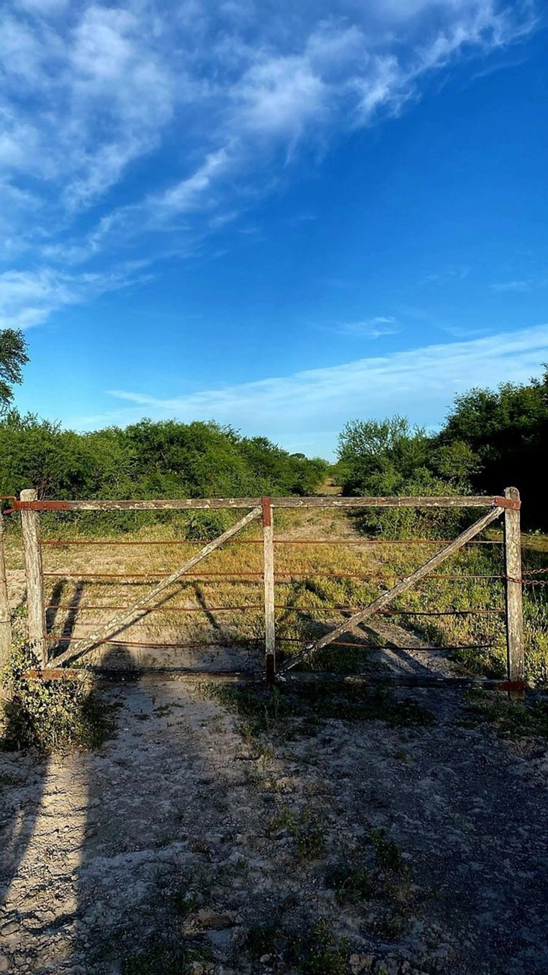 CAMPO GANADERO EN LA GALLARETA